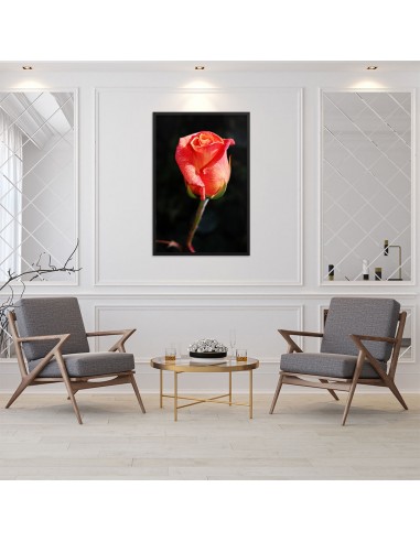 Tableau Fleur  Evolutif Rose vente chaude votre 