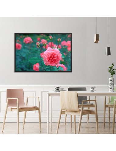 Tableau Fleur  de Rose rembourrage situé sous