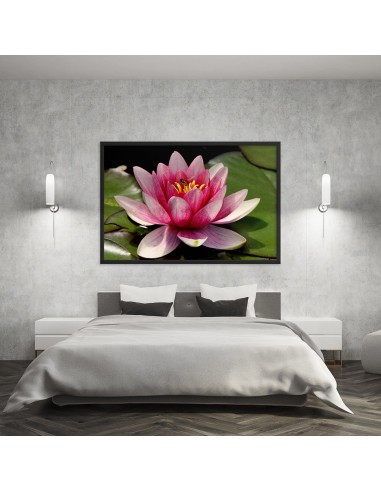 Tableau Fleur  de Lotus (La Mère) prix pour 