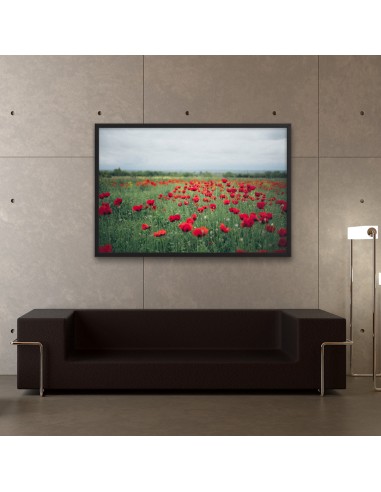 Tableau Fleur  Champ de Coquelicots livraison et retour toujours gratuits